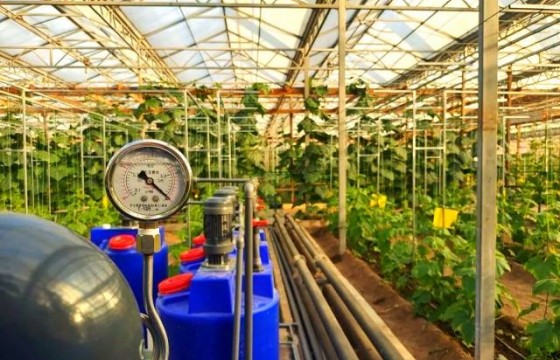 水肥一体化时代：五大现代农业种植技术助力农业绿色发展
