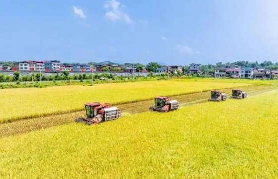 判断土壤肥瘦的10个土办法