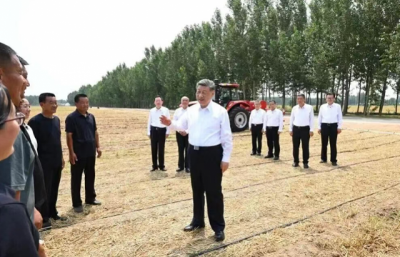 夯实大国粮仓根基，端牢中国饭碗｜总书记的“三农”足迹