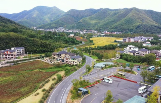 时政微观察丨从乡村蝶变看浙江的共富之路