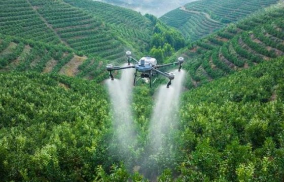 水溶肥：助力农业提质增效的“秘密武器”