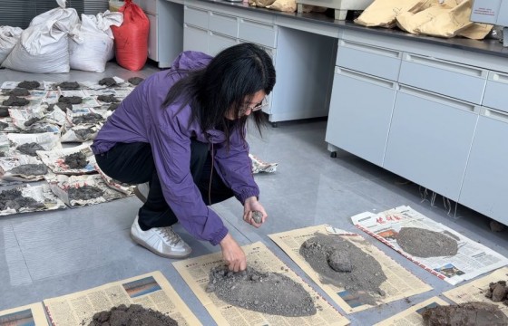 南农北移：一群新农人的盐碱地探索