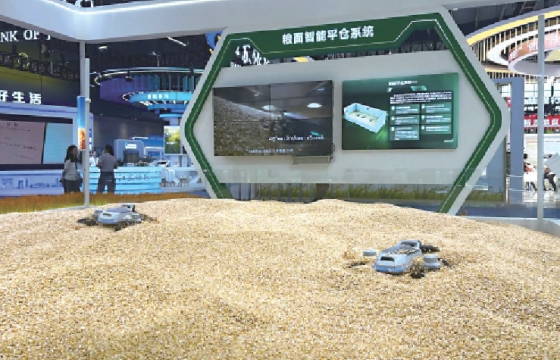 科技、风味与共富的三重交响