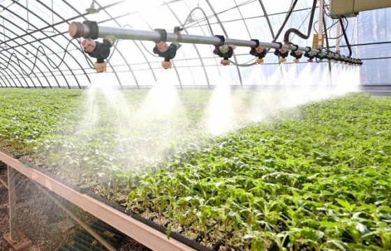 水溶肥厂家怎么选？关键看这几点，帮你避坑！