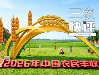丰收开新局，实干促振兴！