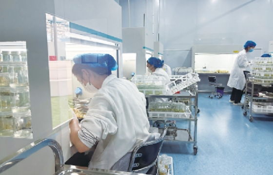 陇原菜何以畅销南方大市场？