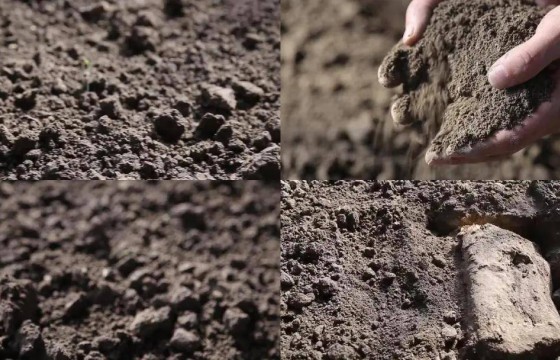 氮磷钾含量高土壤就肥沃了？这是真的吗？